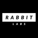 Discovery splash banner for Rabbit-Labs Discord server