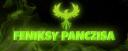 Discovery splash banner for FENIKSY Discord server