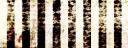 Discovery splash banner for ݂ 𝙽𝕠iɕִׄlᥱ 𝙽a𝕥͜i𐐫ᥒ 🂱 ݂˚̣̣̣ ݁ Discord server
