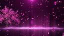 Discovery splash banner for ISHQ🌷| Social • hangout • Active vc • NON-Dating • Nitro • sfw • Indian • Gaming Discord server