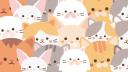 Discovery splash banner for ORANGE CAT Discord server