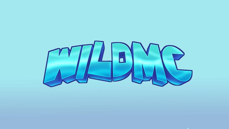 Discovery splash banner for WildMC | Network Discord server