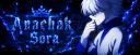Discovery splash banner for Anachak Sora X Levisa 873 Discord server