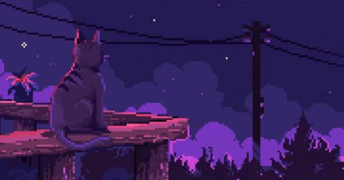 Discovery splash banner for Meow Island ★ Discord server