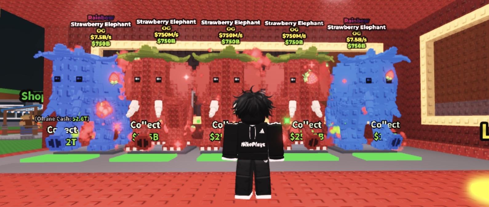 Discovery splash banner for NikoPlayz | Steal a Brainrot | Store/Market Discord server
