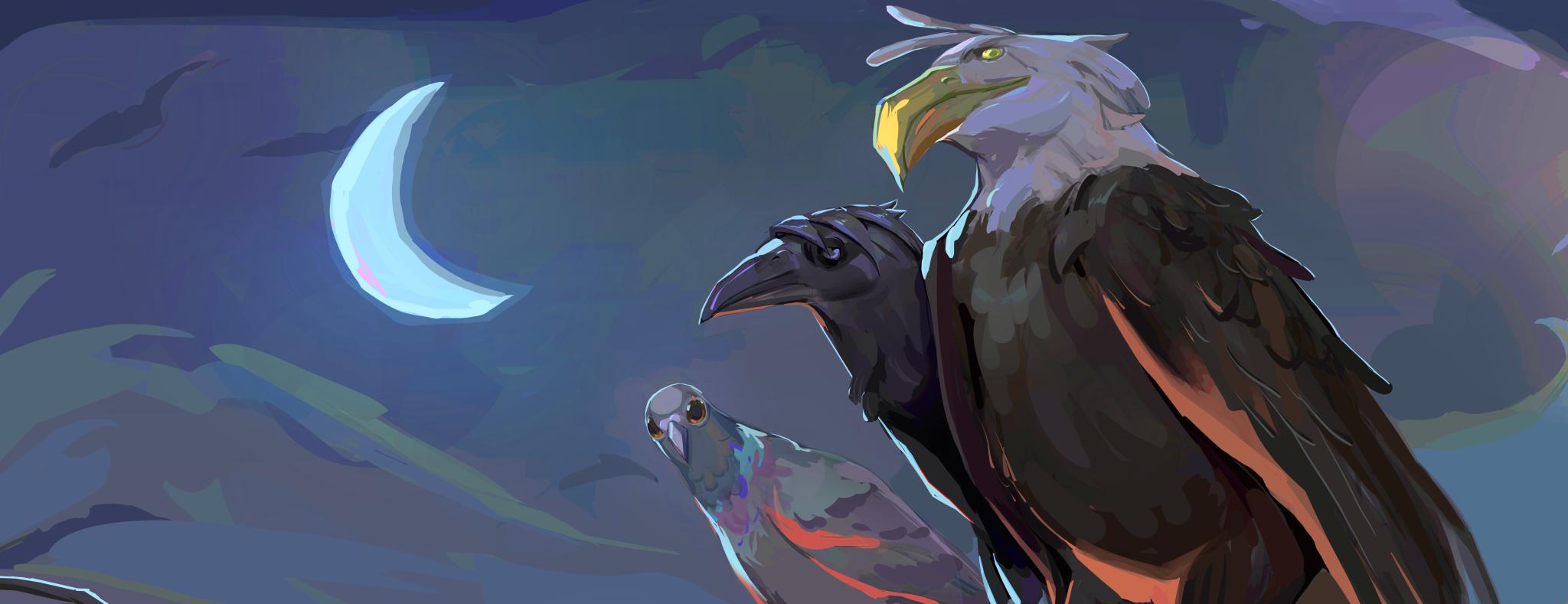 Discovery splash banner for OUTHATCHED Discord server