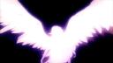 Discovery splash banner for Core Leaks | 1.3K narkopriton Discord server