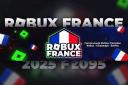 Discovery splash banner for Robux France™ | Cheapest Robux Roblox Limiteds Discord server