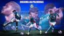 Discovery splash banner for SE Palmeiras Discord server