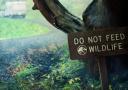 Discovery splash banner for Jurassic World Discord server