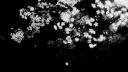 Discovery splash banner for feel your feelings | venting  .  social  .  therapy Discord server