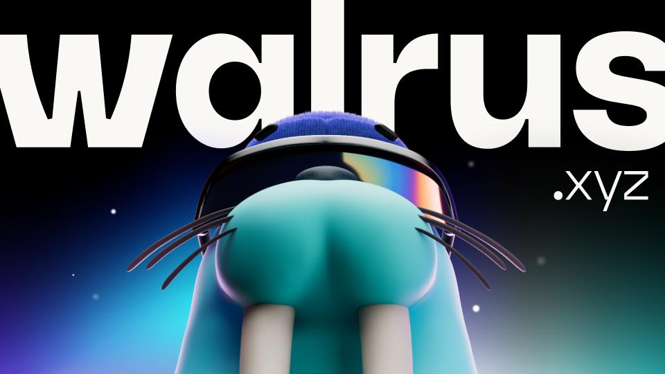 Discovery splash banner for Walrus Discord server