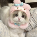 Discovery icon for ❀࿐°. ༢.    𐔌🎀 ꒱  Catpie  .  Social  .  Active   . Giveaways. Discord server