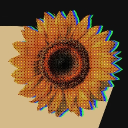 Discovery icon for 𝙿𝙷𝙲 𝙲𝚘𝚖𝚙𝚊𝚗𝚢 |  🌻 Discord server