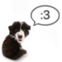 Discovery icon for 🐾 Puppy Pen 🦴 Discord server