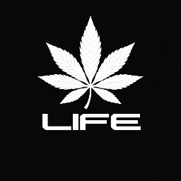 Discovery icon for LiFE ESPORTS • 🇮🇳 1700+ Discord server