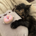 Discovery icon for ㆍ๑⑅　⋆　/lysm ♡　˕ ask2dɱ　˕ ƒriends　˕ giveaways　˕ pusheen！ Discord server