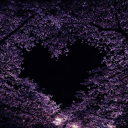 Discovery icon for 𝔟𝔩𝔬𝔬𝔪 Discord server