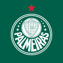 Discovery icon for SE Palmeiras Discord server