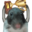 Discovery icon for CAUSA TEAM Discord server