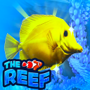 Discovery icon for 🐬Sea parrot🐬 Discord server