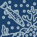 Discovery icon for Aquatica Discord server